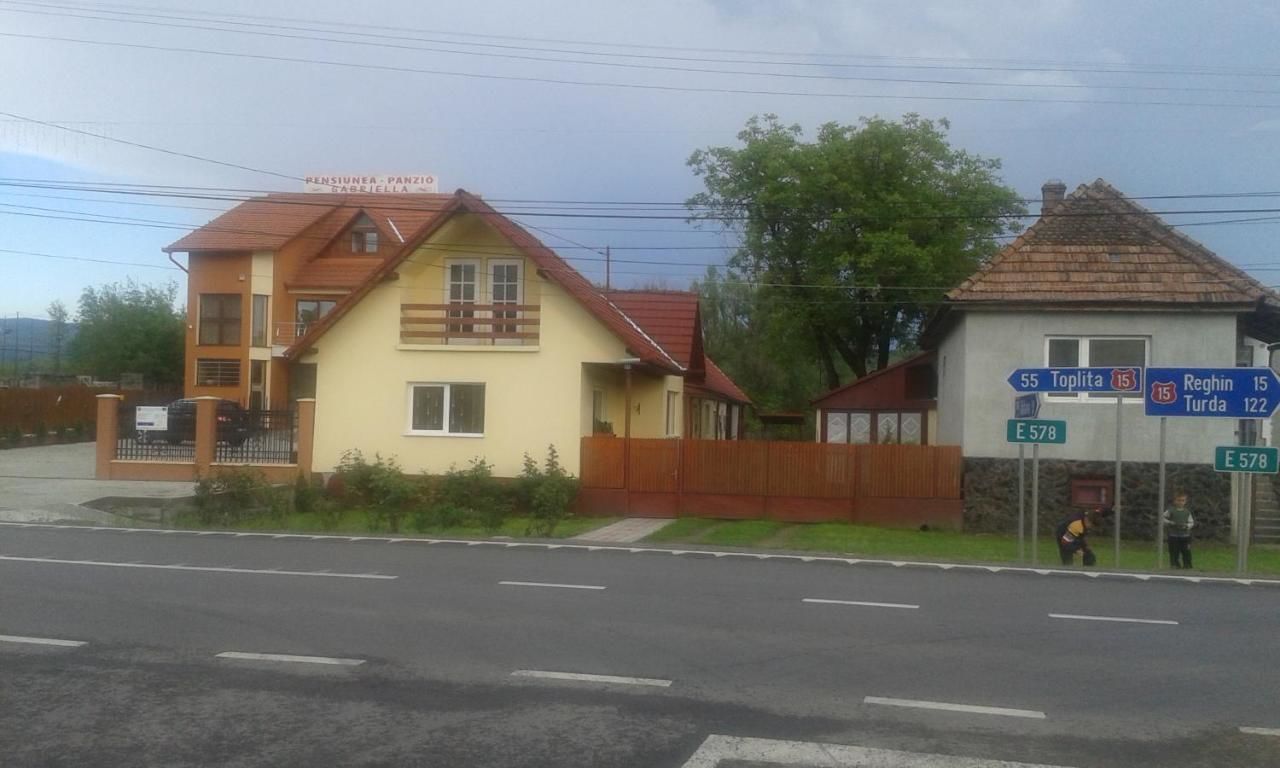 Гостевой дом Pensiunea Gabriella Vălenii de Mureş-29