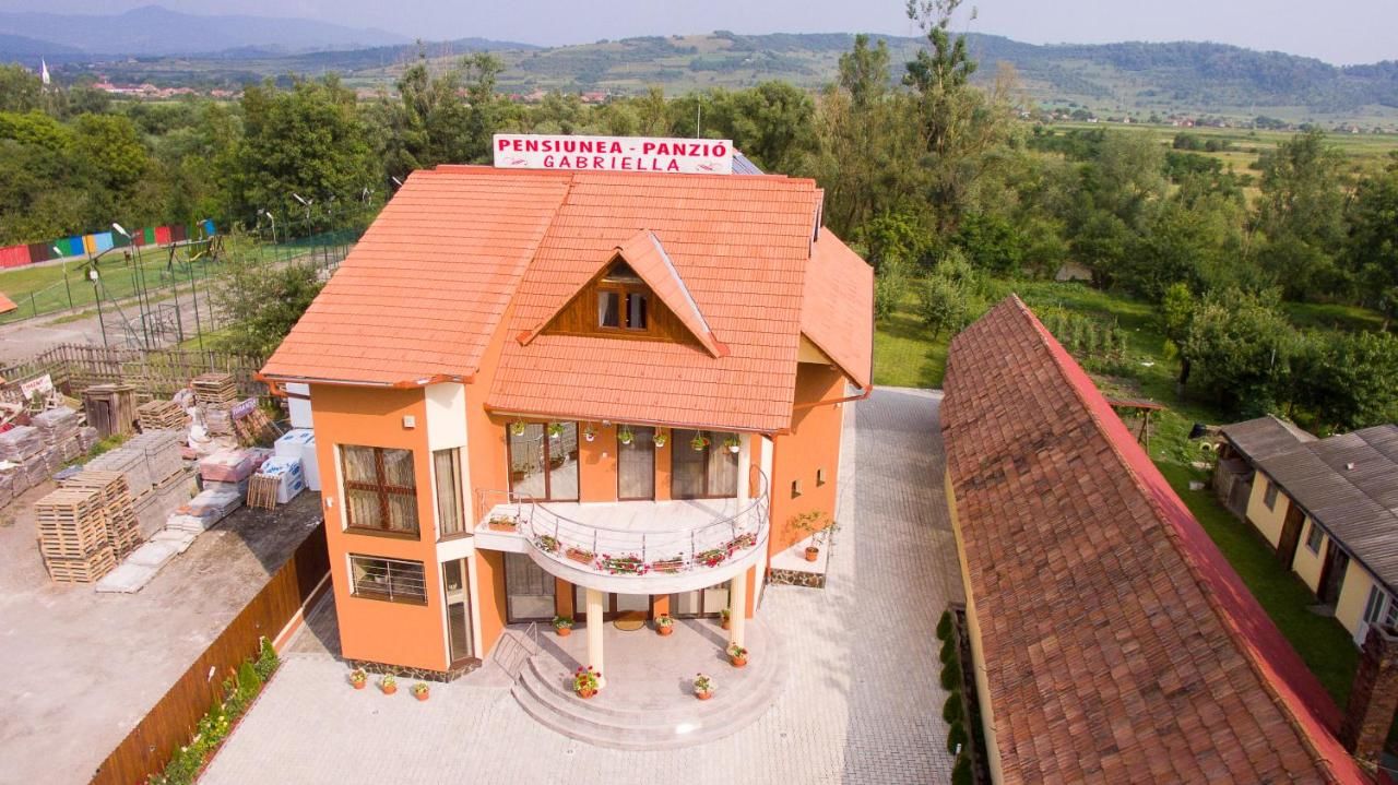 Гостевой дом Pensiunea Gabriella Vălenii de Mureş-10